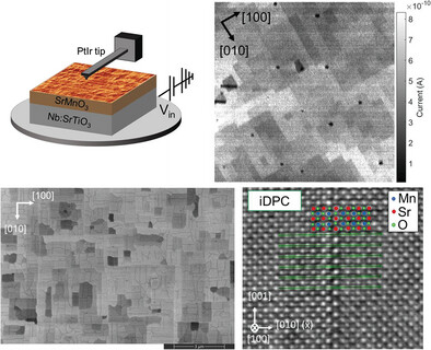 TamalikaBanerj5's tweet card. This work discusses the electrical properties of domains with varying conductance in strained SrMnO3 thin films, as probed by conducting atomic force microscopy (cAFM) and complemented by scanning...