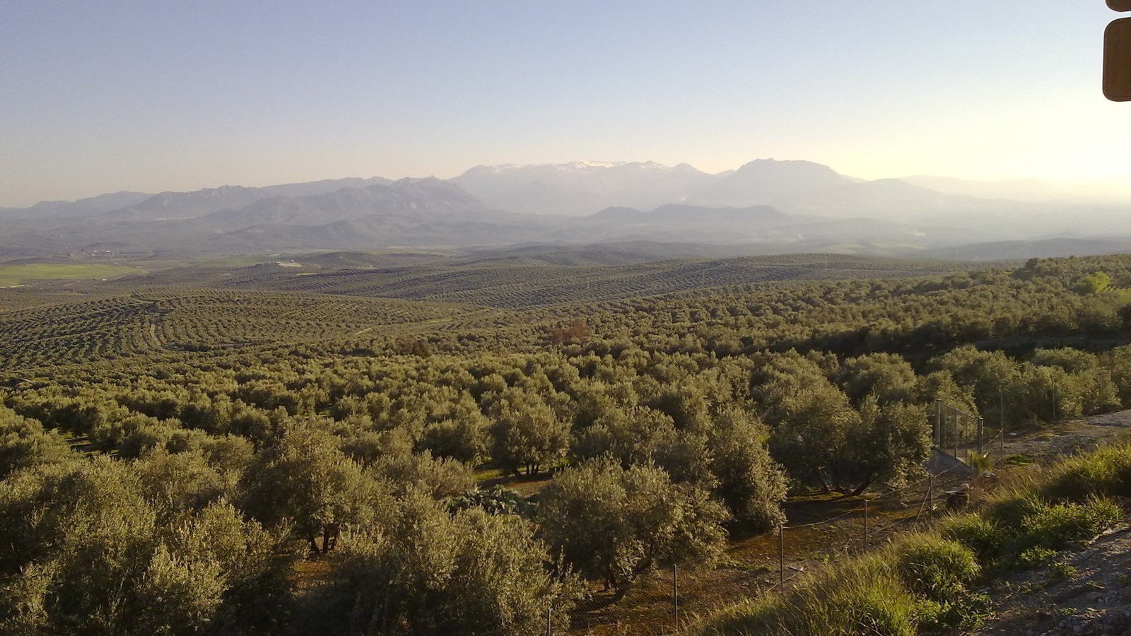 FrackingPorcuna's tweet card. Declarar la provincia de Jaén "Libre de Fracking"