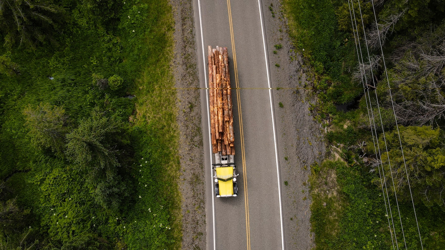 JadDaley's tweet card. Conserving forests is just as important as adding new ones.