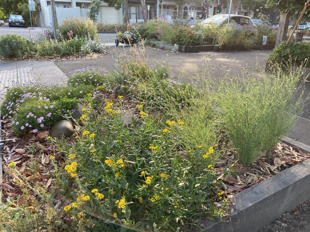 Marius_Foley's tweet card. Help us protect our native bees by bringing humans and nature together through street gardening.