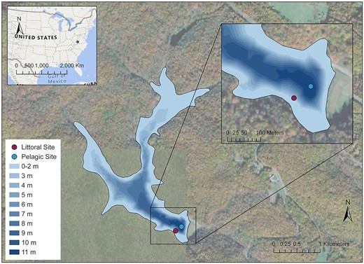 lewis_lakes's tweet card. Abstract. Zooplankton play an integral role as indicators of water quality in freshwater ecosystems, but exhibit substantial variability in their density a