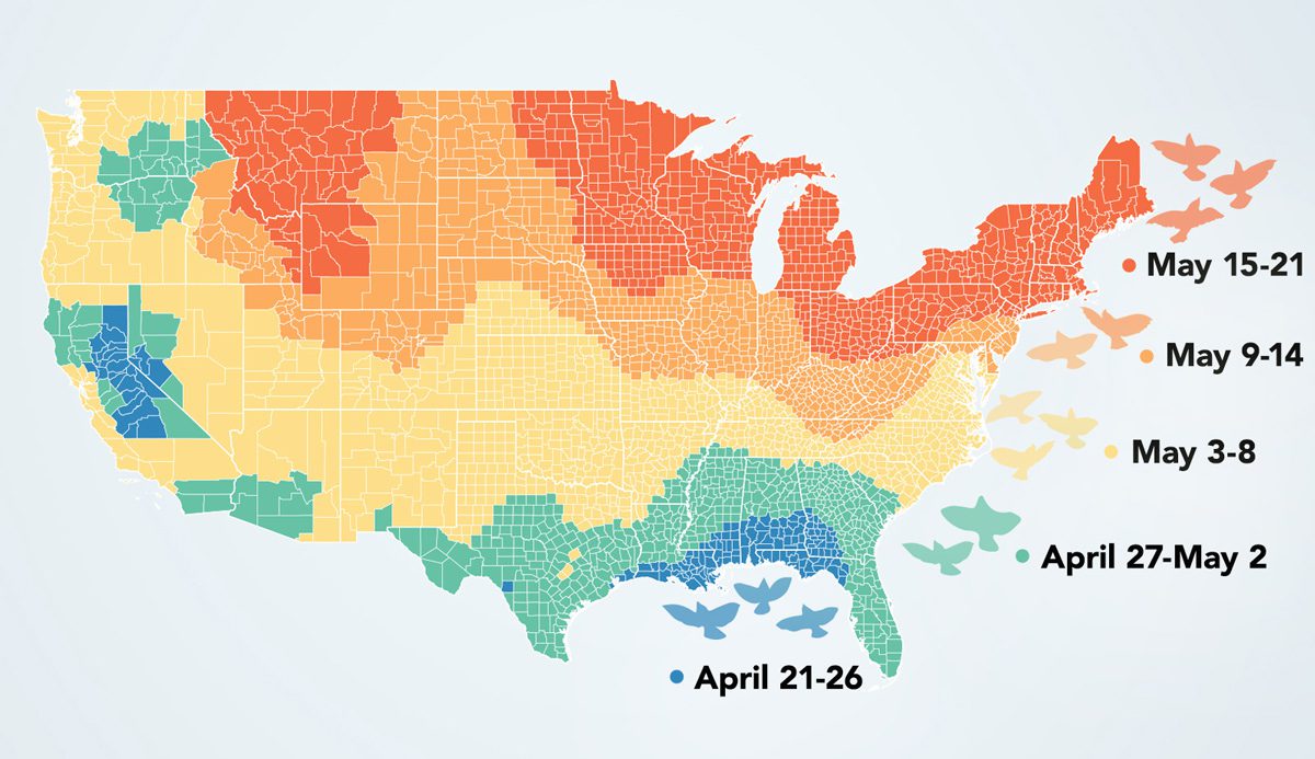 RussellClass's tweet card. Spring migration timing varies across the U.S. and even within regions, according to radar data analyzed by BirdCast.