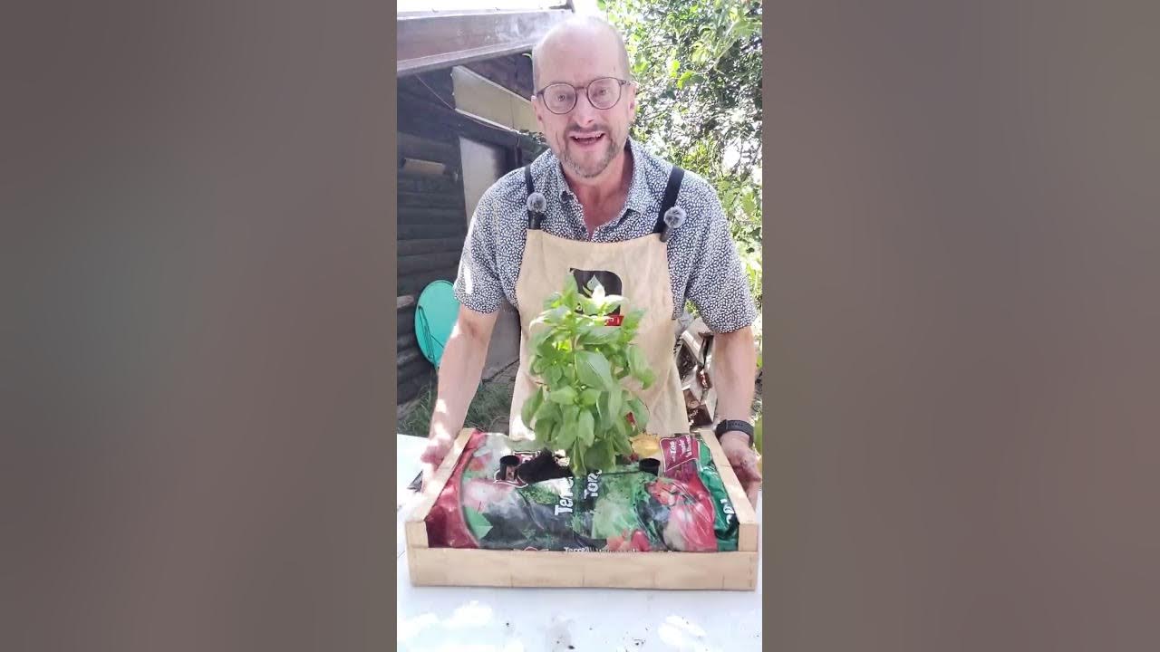 SolarDripper's tweet card. Cultivez directement d'un sac pour créer un jardin miniature portable...