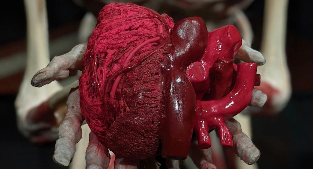 sharenewsjapan1's tweet card. 詳しくは投稿をご覧ください。