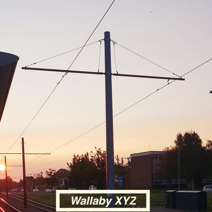 Tweet card summary image