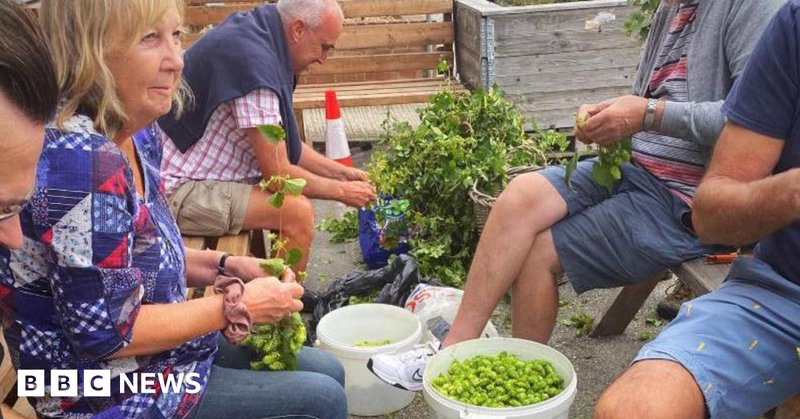 Tweet card summary image