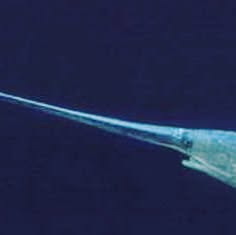 hydrobiology21's tweet card. Mustafa Gültekin Avşar (@hydrobiology21) • Instagram photo