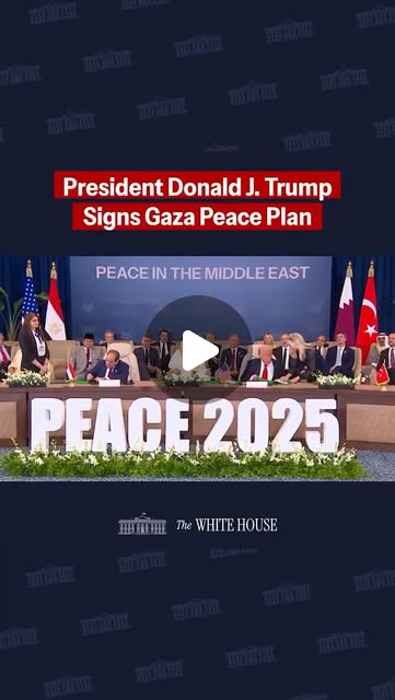 ProjectTru47100's tweet card. President Donald J. Trump (@realdonaldtrump) • Instagram reel