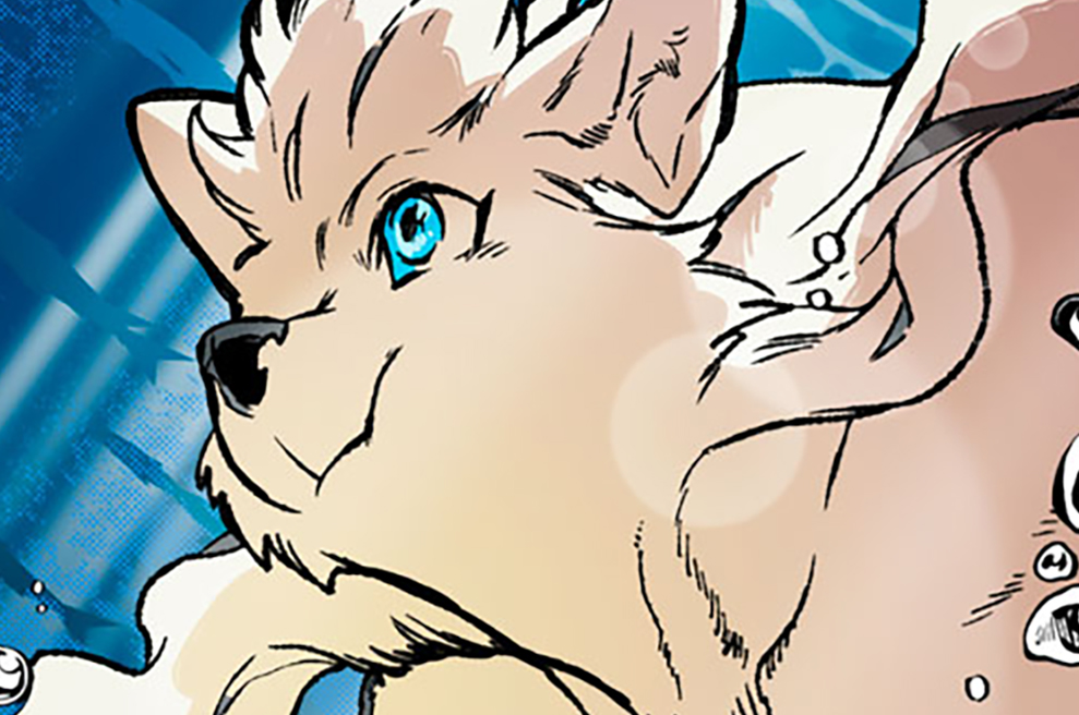 ryo_sumiyo6492's tweet card. 『人馬』作者が描く、犬vs.猫の世界！