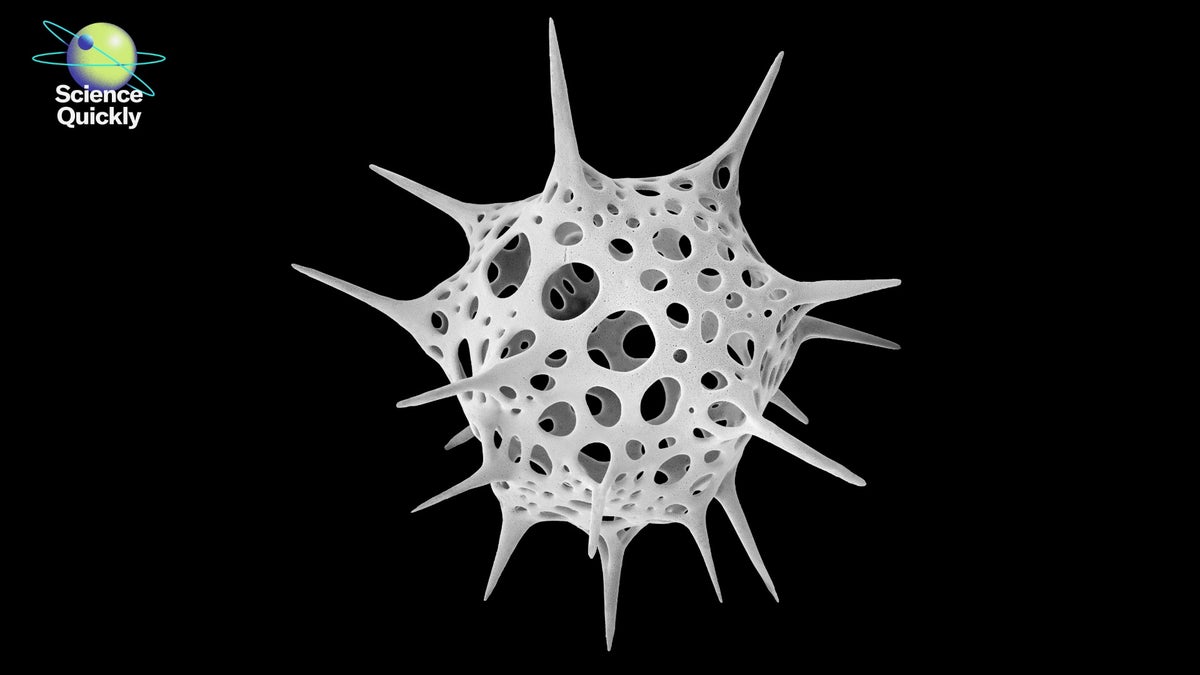 TESCleanAir's tweet card. Artist Michael Benson reveals the hidden beauty of snowflakes, radiolarians and lunar rocks through stunning electron microscope images in his new book, Nanocosmos.