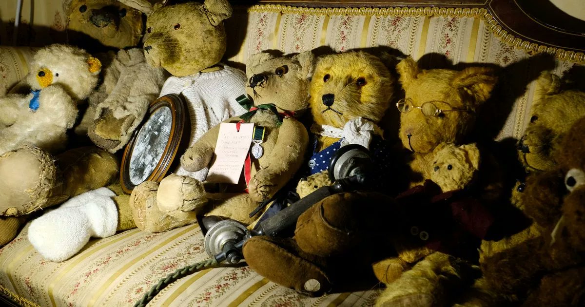 CornwallLive's tweet card. Bears as old as 122 sit alongside bears which survived the blitz, next to others from as far away as Japan