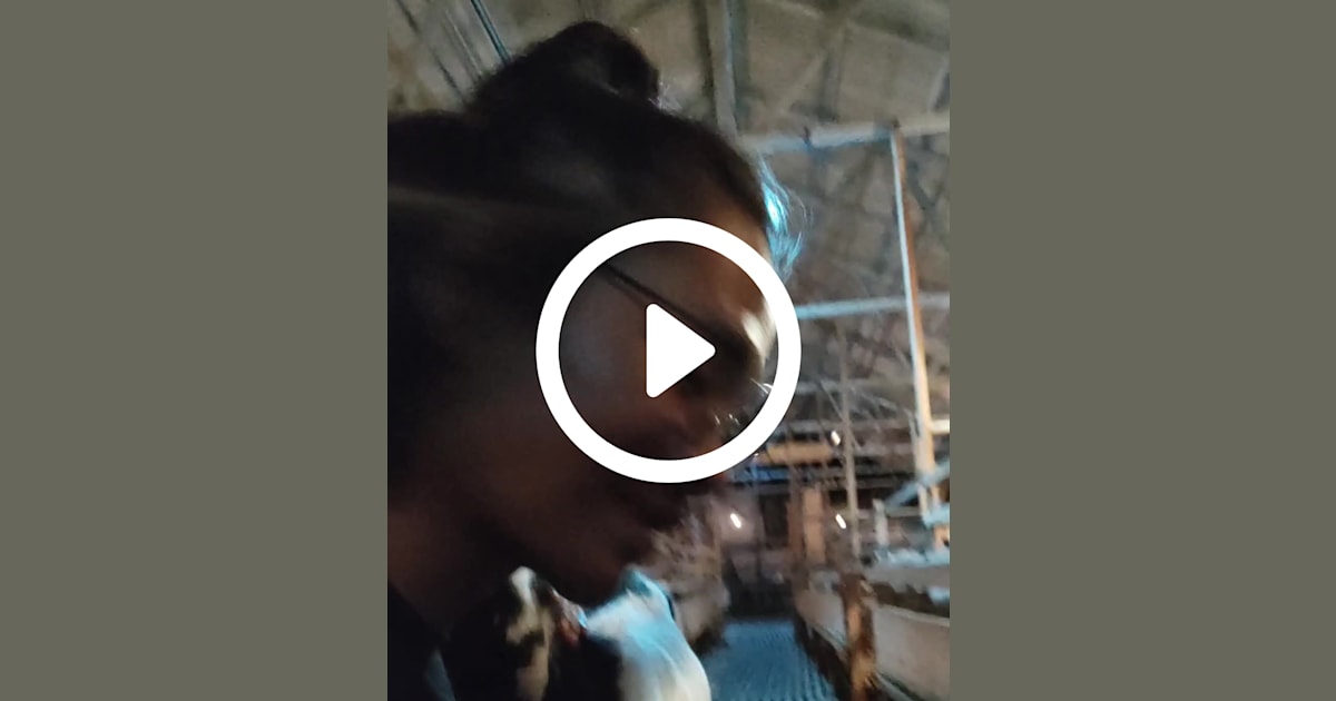 MaximBase's tweet card. Is baseapp for someone like me @jesse.base.eth? Forget that question! See... Jamila is the happiest goat in the barn because she's free to choose whatever food she wants and leave the barn as she p