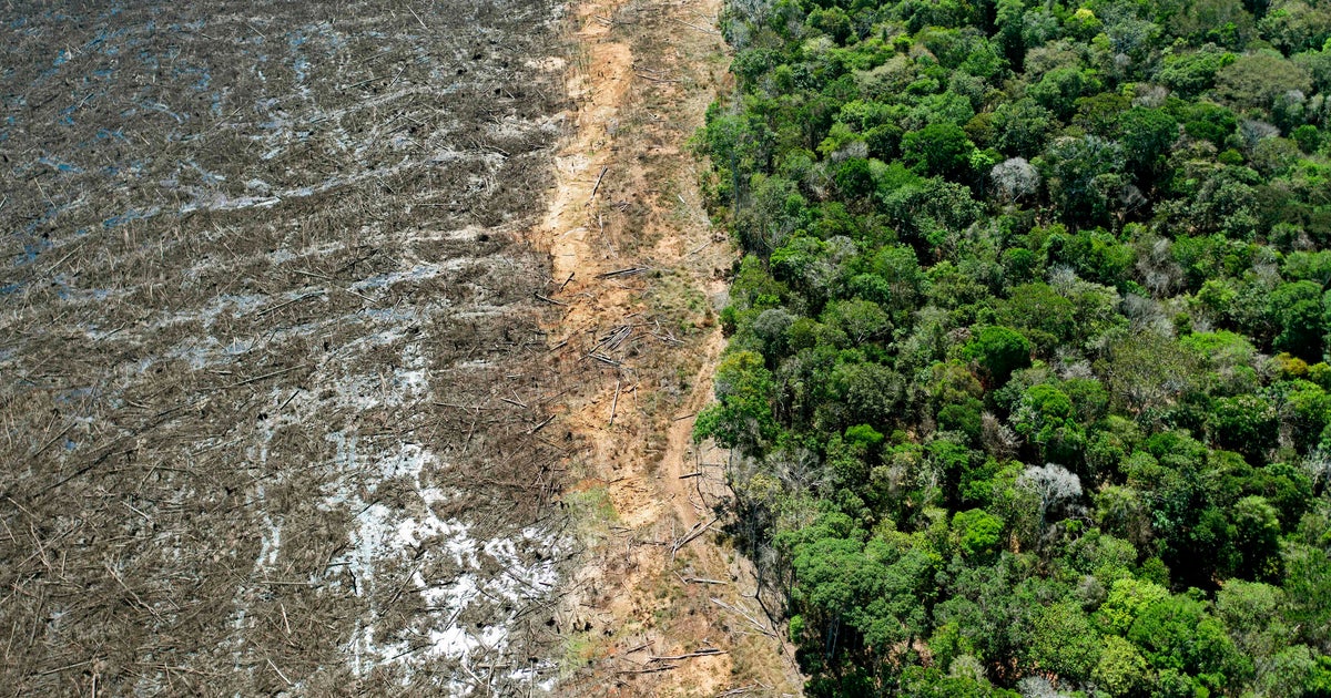 scm_knowhow's tweet card. "We are financing horrific crime around the globe," said Alexander von Bismarck, executive director of the Environmental Investigation Agency.