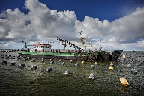 Image for twitter card