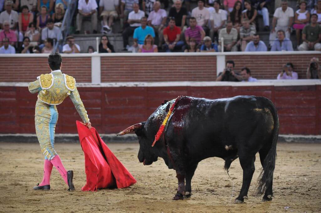 fuzzy_piglet's tweet card. StubHub International is cashing in on cruelty. Bulls are stabbed and slaughtered in bullfights – urge the company to stop selling tickets to these blood-soaked events.