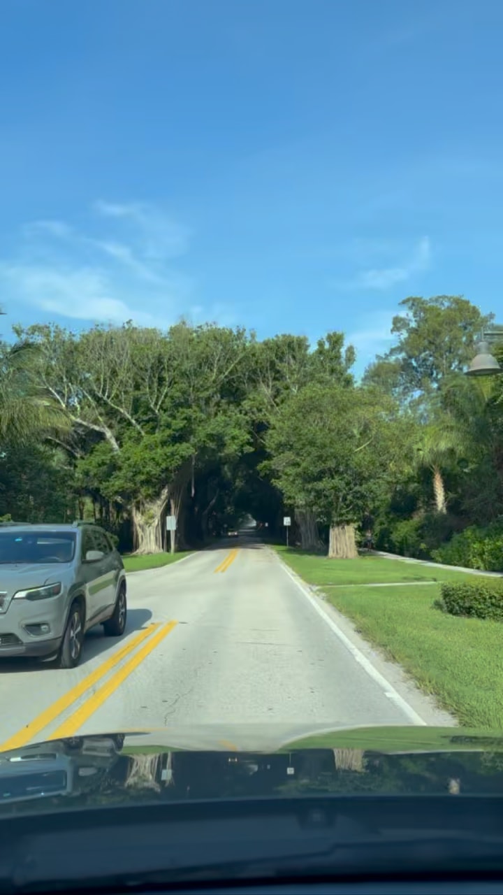 walksinparadise's tweet card. mywalksinparadise @mywalksinparadise has created a short video on Clapper | Tunnel Of Trees! Recorded 7/8/2025 on Jupiter Island in Hobe Sound, FL. There’s Nothing Quite As Magical As The Tunnel Of...