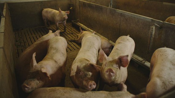 Image for twitter card