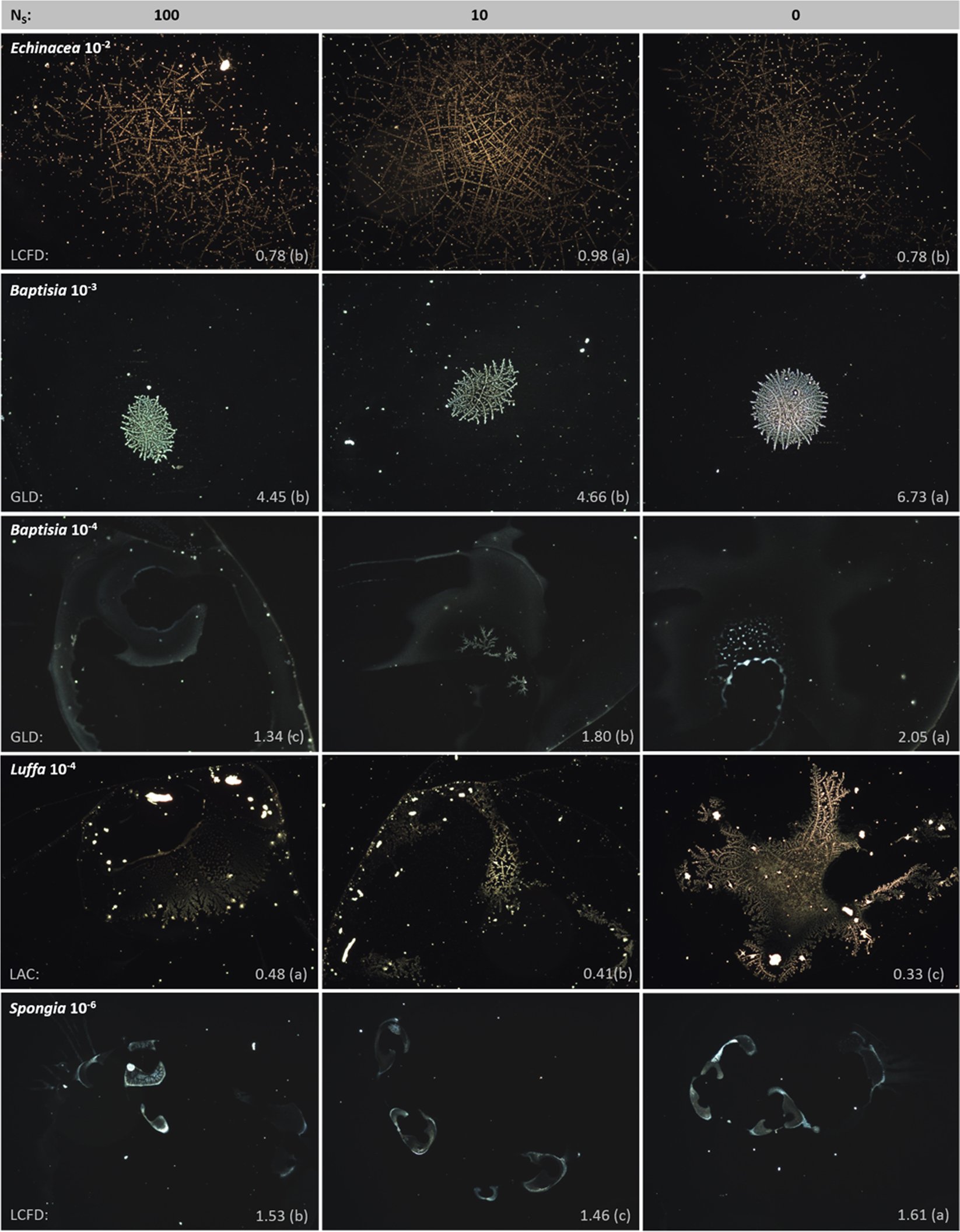 dhrupodee's tweet card. Scientific Reports - Impact of succussion on pharmaceutical preparations analyzed by means of patterns from evaporated droplets