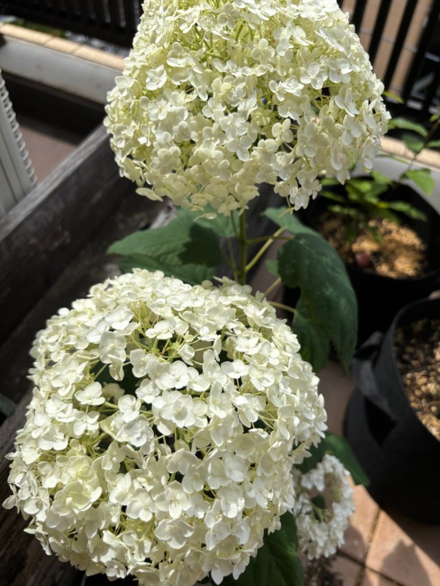 REALDOCSmedia's tweet card. 📍REAL DOCS トップページはこちら 🎞️ 考察本数：8本 🎬 映画の余白（映画レビュー・考察）：5本 …