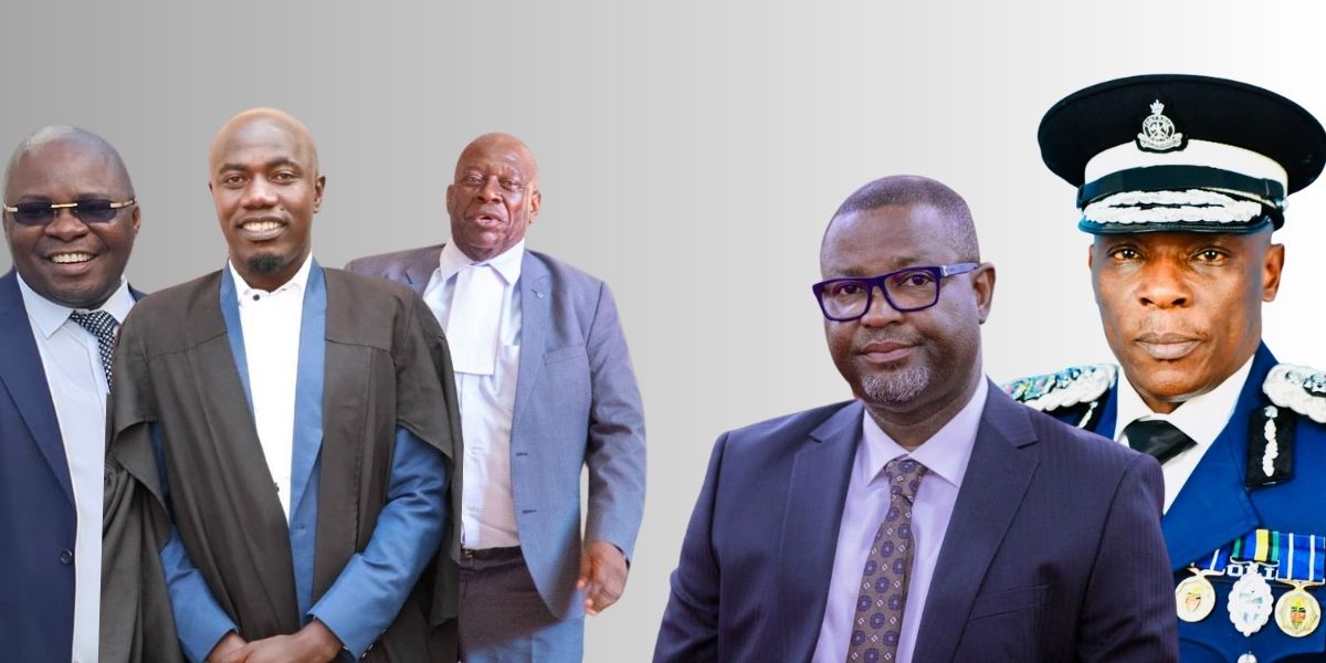 TheChanzo's tweet card. The core of the legal challenge is the claim that the order was issued without any backing of the law and effectively usurped the President’s powers to declare a State of Emergency