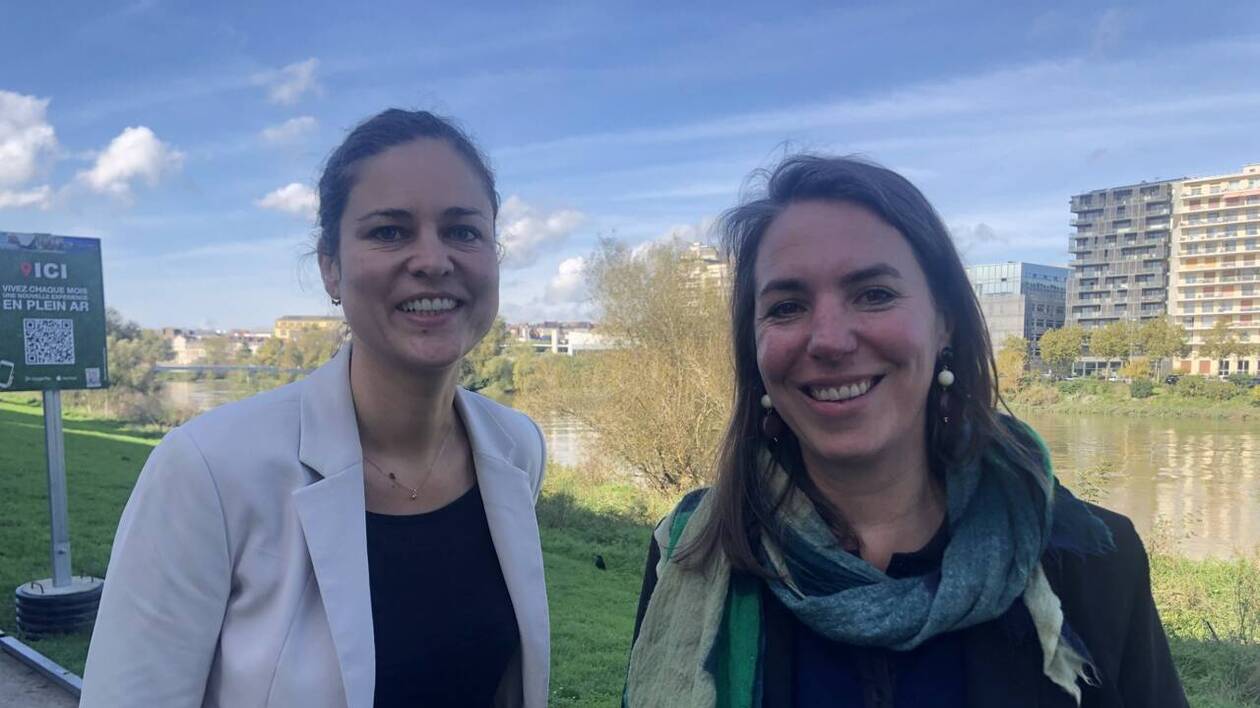 laernoes's tweet card. La casse industrielle et sociale, en Loire-Atlantique, dans le secteur des énergies renouvelables, inquiète la députée Julie Laernoes et la vice-présidente du Département, Chloé Girardot-Moitié,...