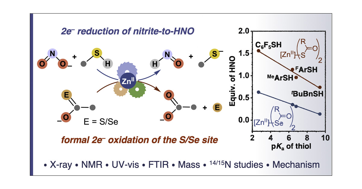 SKLab_IISERTvm's tweet card. Nitrite anion has emerged as a key mediator in various redox signaling processes. This study utilizes a crystallographically characterized tetrahedral complex (Me2PzQu)Zn(thioacetate)2 (1-Qu) to...
