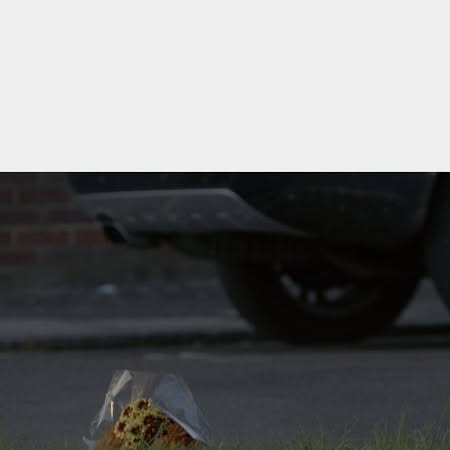 patchrowland's tweet card. Patch Rowland (@patchland) • Instagram photo