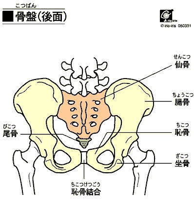 naointyou's tweet card. 60代女性。連休中の台風の前日、事前に備えをするという、ご近所さんのお手伝いをしていたところ、右腰を痛めた。立った姿勢を観させていただくと、上半身が大きく...