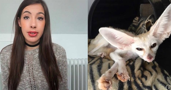 Teknautas's tweet card. Sonia Sae es una conocida 'youtuber' animalista, pero en los últimos días se ha ganado todo tipo de críticas de este mismo colectivo por el estado en que tiene a su mascota