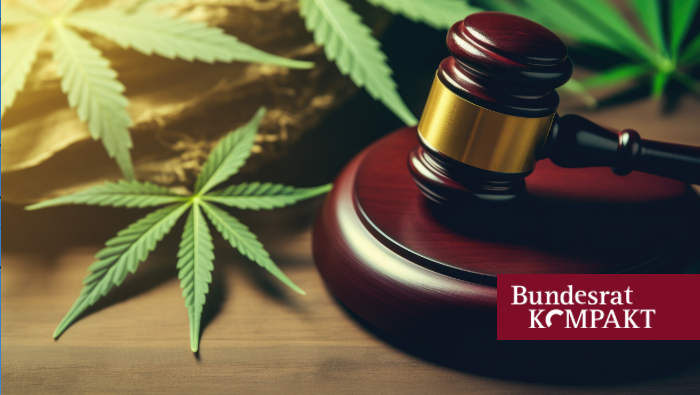 bundesrat's tweet card. Bundesrat billigt Cannabisgesetz