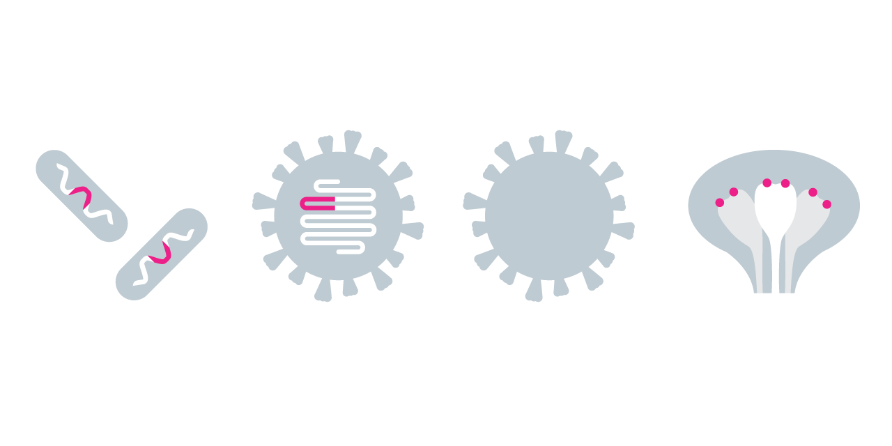 TonixPharma's tweet card. Some 200 Covid-19 vaccines are in development around the world, according to the World Health Organization. Now, several have been authorized for use and are being rolled out in mass immunization...