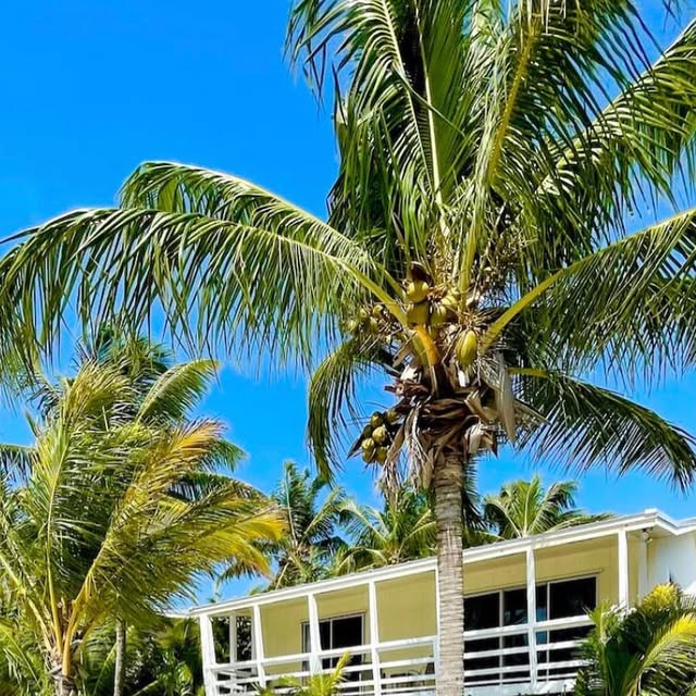 CadmierR's tweet card. 𝐈𝐬𝐥𝐚𝐧𝐝 𝐓𝐢𝐦𝐞 𝐇𝐨𝐬𝐩𝐢𝐭𝐚𝐥𝐢𝐭𝐲 (@island.time.hospitality) • Instagram photos and...