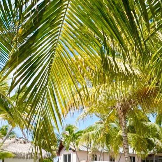 CadmierR's tweet card. 𝐈𝐬𝐥𝐚𝐧𝐝 𝐓𝐢𝐦𝐞 𝐇𝐨𝐬𝐩𝐢𝐭𝐚𝐥𝐢𝐭𝐲 (@island.time.hospitality) • Instagram photo