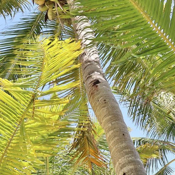 CadmierR's tweet card. 𝐈𝐬𝐥𝐚𝐧𝐝 𝐓𝐢𝐦𝐞 𝐇𝐨𝐬𝐩𝐢𝐭𝐚𝐥𝐢𝐭𝐲 (@island.time.hospitality) • Instagram photo