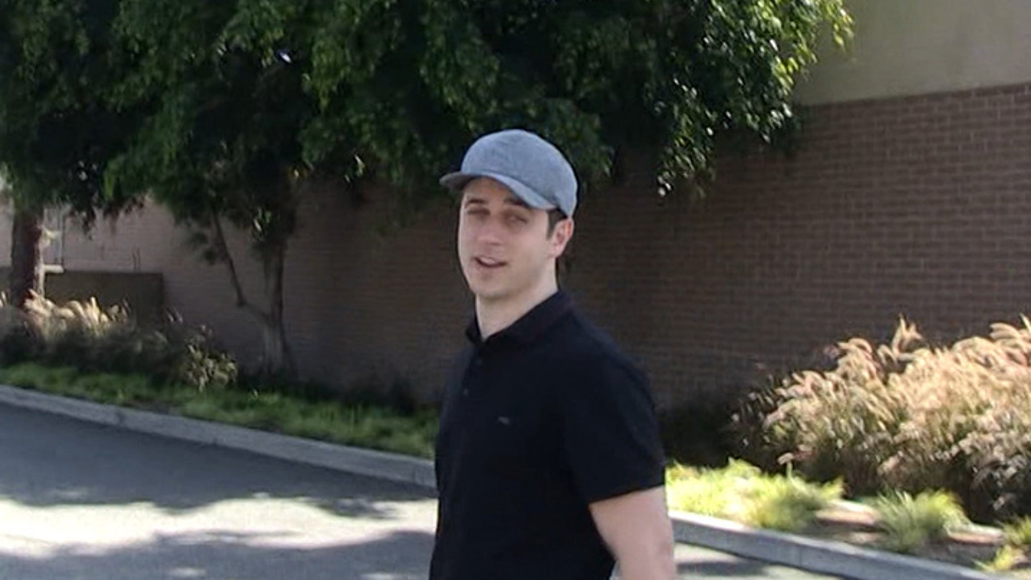 TMZ's tweet card. "Wizards of Waverly Place" star David Henrie arrested at LAX for loaded gun.