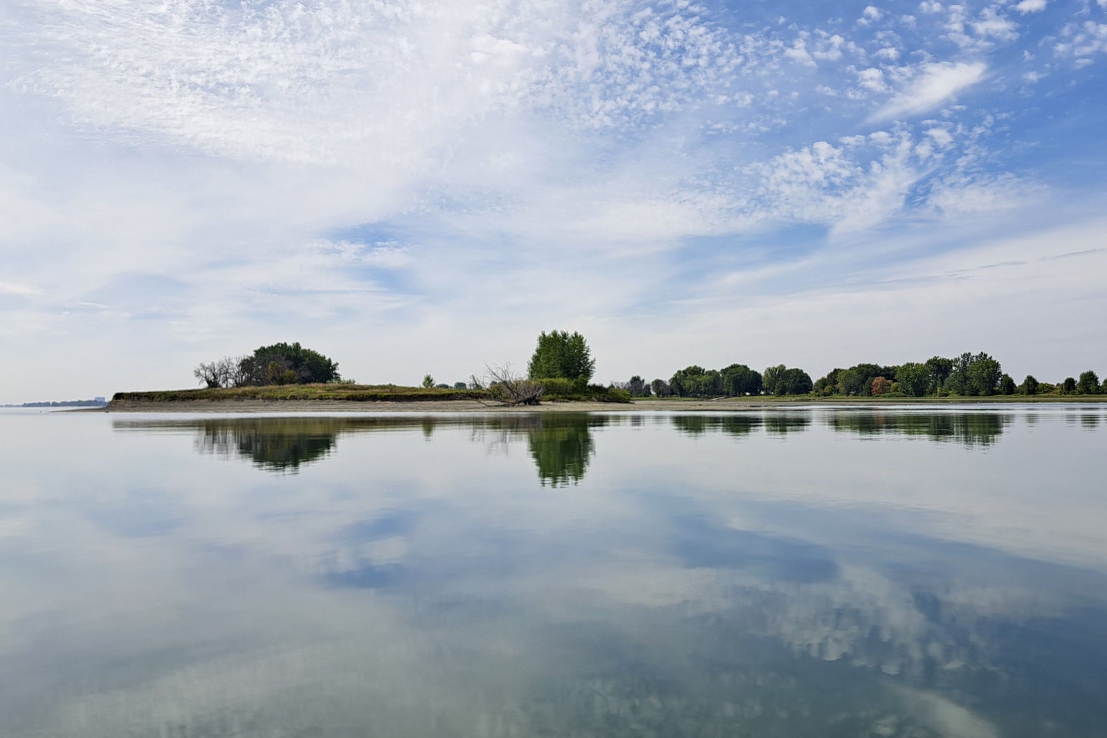 AShields_Devoir's tweet card. Port de Montréal veut réduire celui du chevalier cuivré pour compenser les impacts sur ce poisson menacé.