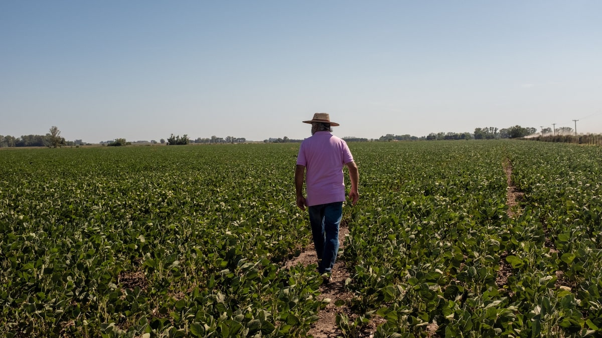 amturiel's tweet card. Argentina está lidiando con una escasez de diésel para impulsar tractores y camiones justo cuando las cosechas de soja y maíz aumentan en la potencia exportadora de cultivos