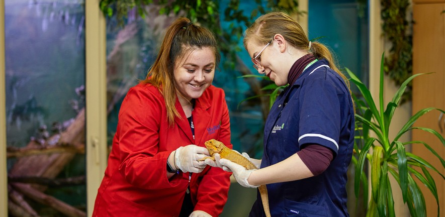 floatdesign_net's tweet card. We have completely overhauled an outdated website and built a mobile first website that is deeply integrated with Unit-e that showcases the breadth of facilities on offer at Moulton College.