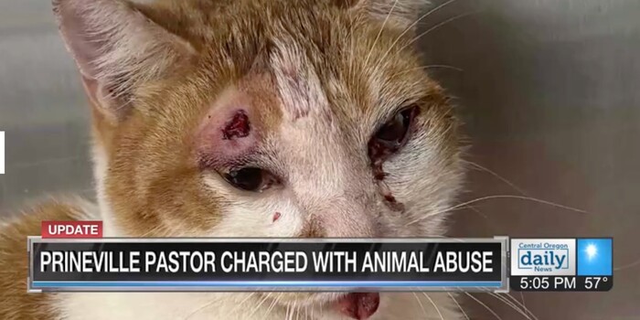 monkey_moo18's tweet card. This act wasn't just reckless; it was inhumane, cruel, and deeply disturbing. (55595 signatures on petition)