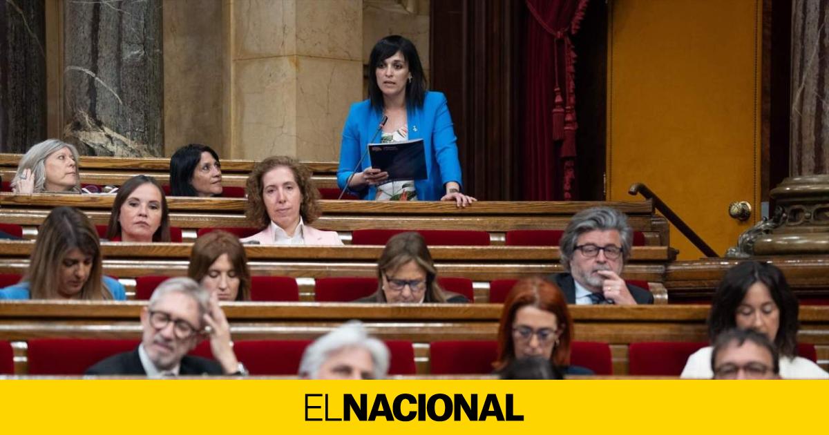 VicePages's tweet card. Un 16% dels d'AC situa Vox com a segona opció i coincideixen en tenir les xarxes socials com a principal font d'informació