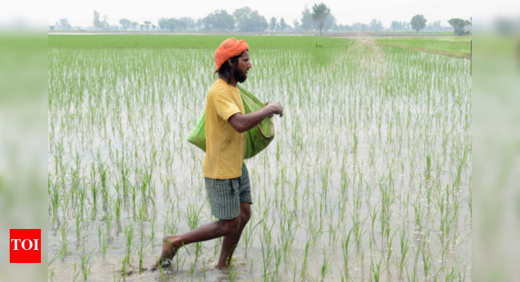 timesofindia's tweet card. India News: The IMF believes the farm bills passed by the Indian govt have the potential to represent a significant step forward for agricultural reforms, but a s