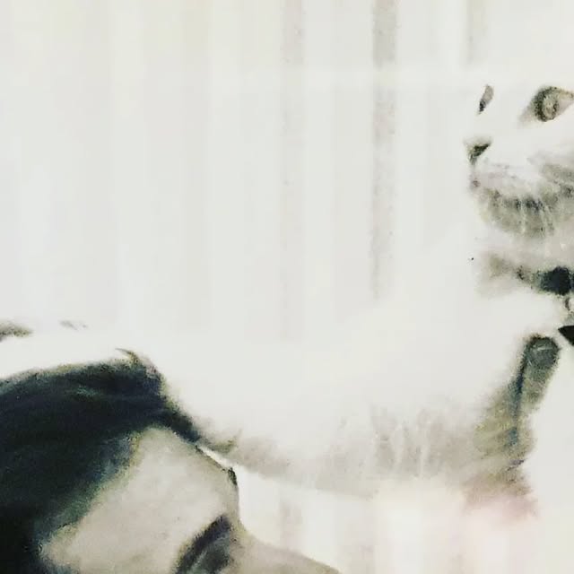 TimEllisMagic's tweet card. Tim Ellis (@timellismagic) • Instagram photo