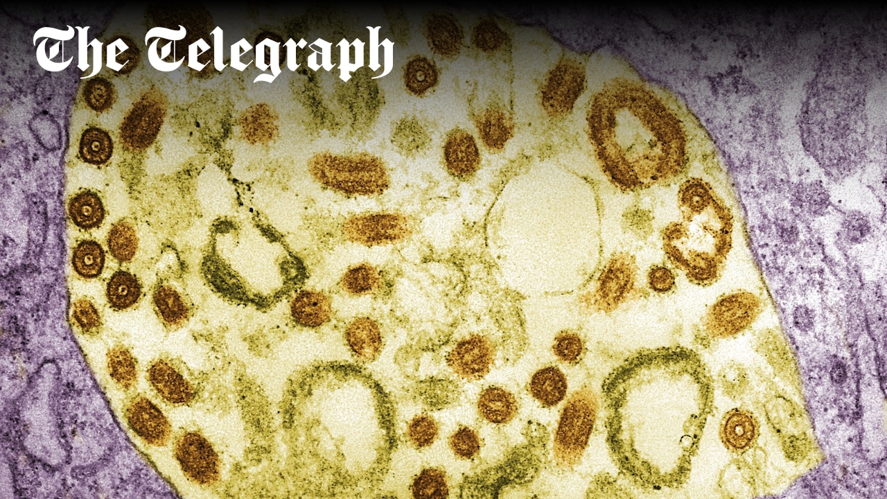 LSHTM's tweet card. Experts and resources have been rushed to the region to prevent one of the world’s deadliest diseases from spiralling out of control