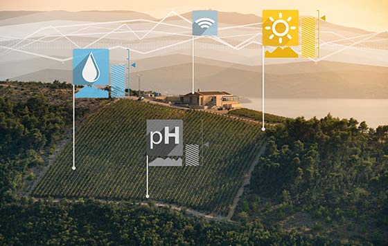 SeitechFSO's tweet card. Es el futuro y el presente: robots, inteligencia artificial, satélites... Son las tendencias digitales en el sector vitivinícola.
