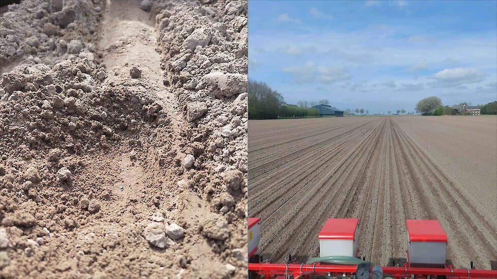 uienteelt's tweet card. Uienexpert Kees Jacobs heeft nuttige aandachtspunten voor het zaaien en opkomst van uien.