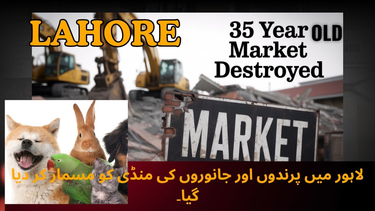 Bamaqsadchannel's tweet card. Lahore Bird & Animal Market Demolished لاہور میں پرندوں اور جانوروں...