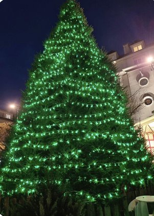 Image for twitter card