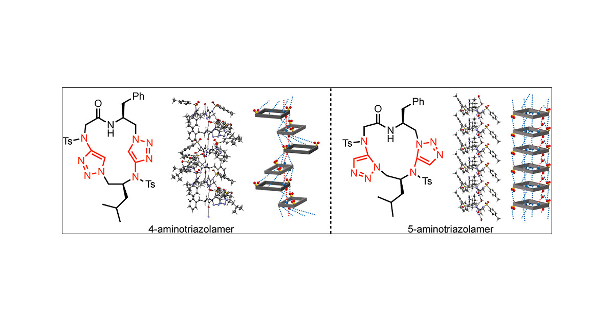 HyperIodine's tweet card. Nonpeptidic foldamers derived from amino acids, i.e. 4- and 5-aminotriazolamers, were synthesized via the assembly of three amino acid-derived modules, which was achieved through the copper-catalyzed...