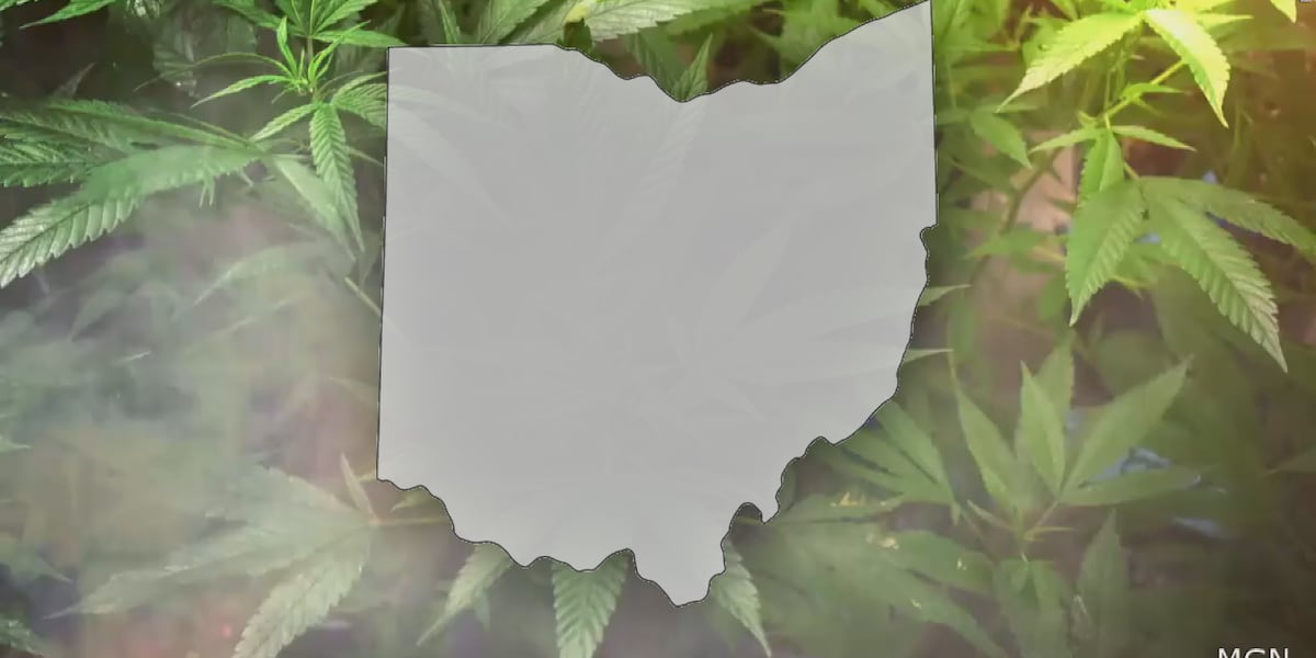 wilxTV's tweet card. If a bill advancing in the legislature is enacted, Ohioans will only be allowed to possess and use marijuana legally grown or purchased in Ohio.