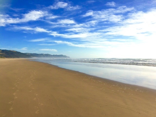 HaljoHal's tweet card. on March 30, 2020 I’ve not posted in quite awhile as my time and latest life circumstances have become more private to me than ever. However, amidst our truly unprecedented new global reality, ––...